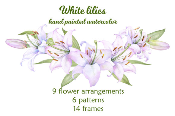 Download White Lilies Watercolor Clipart - Premium Resources