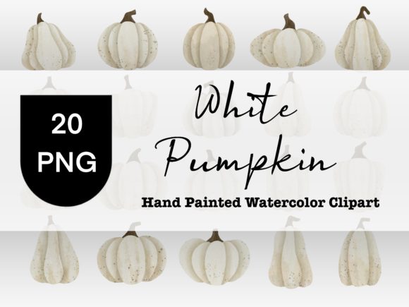 Download White Pumpkin Watercolor Clipart - Premium Resources